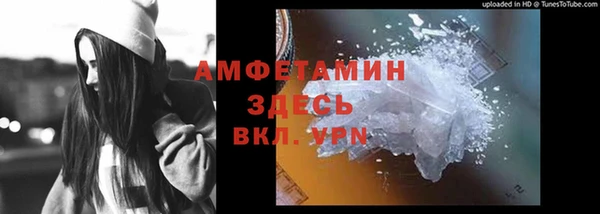 гидра Белокуриха