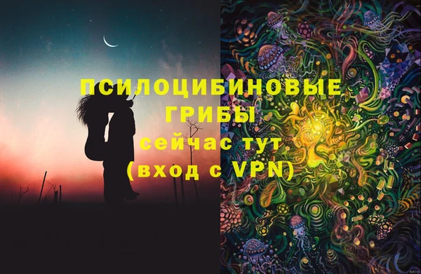 гидра Белокуриха