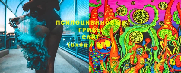 гидра Белокуриха