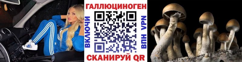 Псилоцибиновые грибы MAGIC MUSHROOMS  omg ТОР  Кувандык 